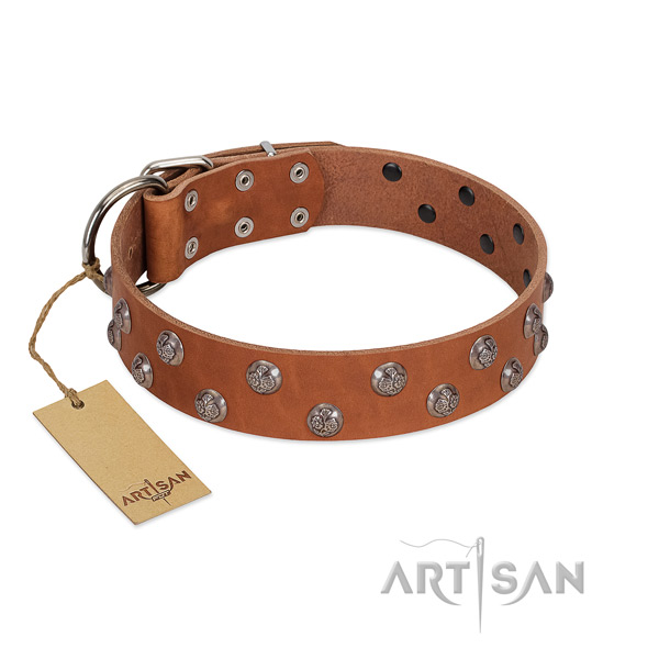 Stylish design full grain leather dog collar with corrosion resistant hardware