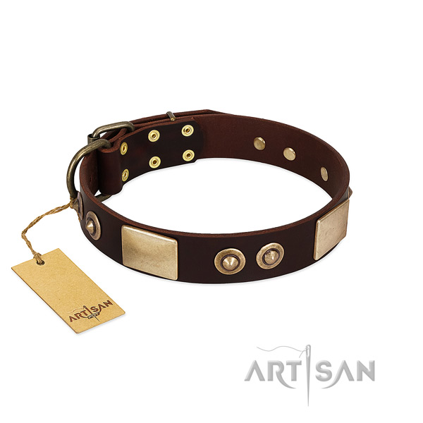 Adjustable leather dog collar for walking your four-legged friend