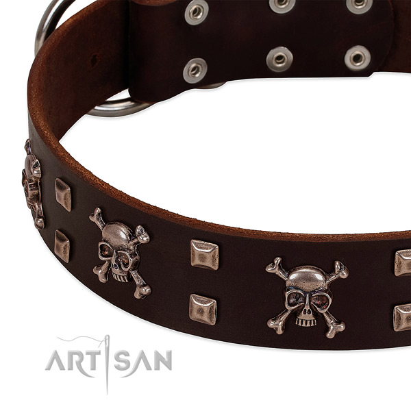 Adorned collar of full grain leather for your handsome doggie