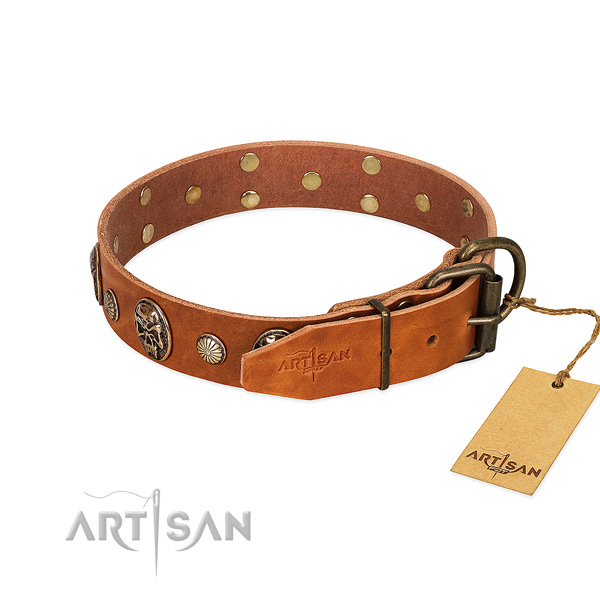 Rust-proof buckle on natural genuine leather collar for basic training your doggie