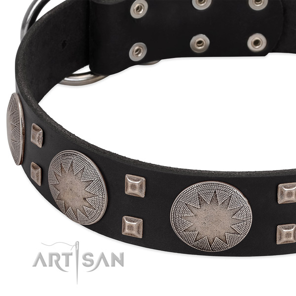 Remarkable natural leather dog collar with corrosion proof buckle