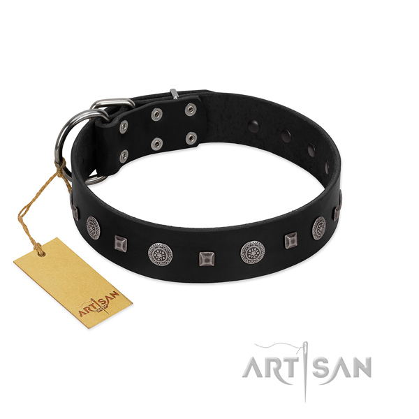 Exquisite collar of full grain genuine leather for your stylish dog