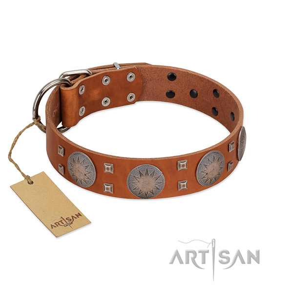 Unique full grain leather collar for your lovely pet