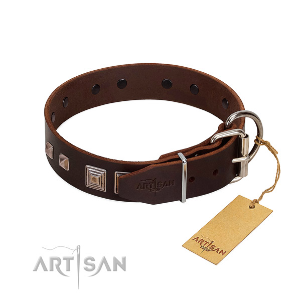Comfortable wearing natural leather dog collar with unusual decorations
