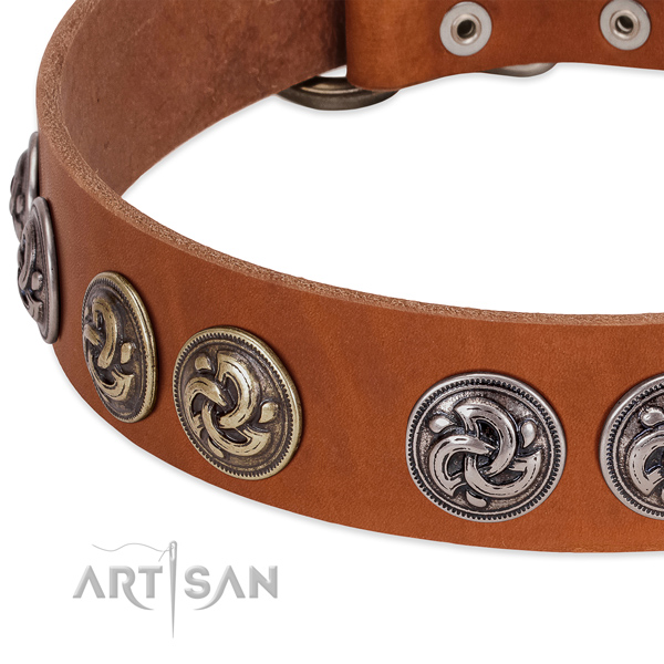 Extraordinary full grain natural leather collar for your four-legged friend daily walking