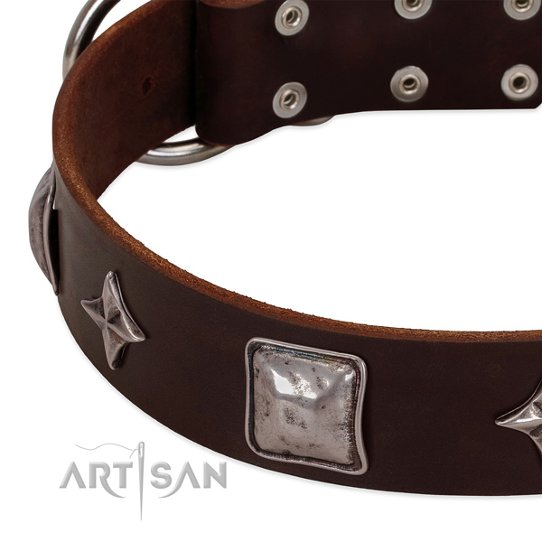 Fancy walking full grain genuine leather dog collar with extraordinary adornments