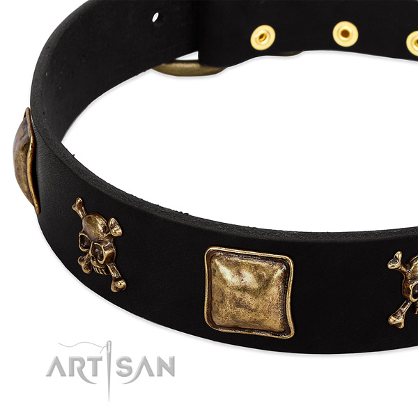 Top rate leather collar with adornments for your pet