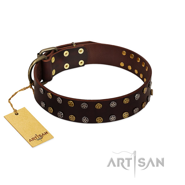 Walking soft to touch full grain genuine leather dog collar with adornments