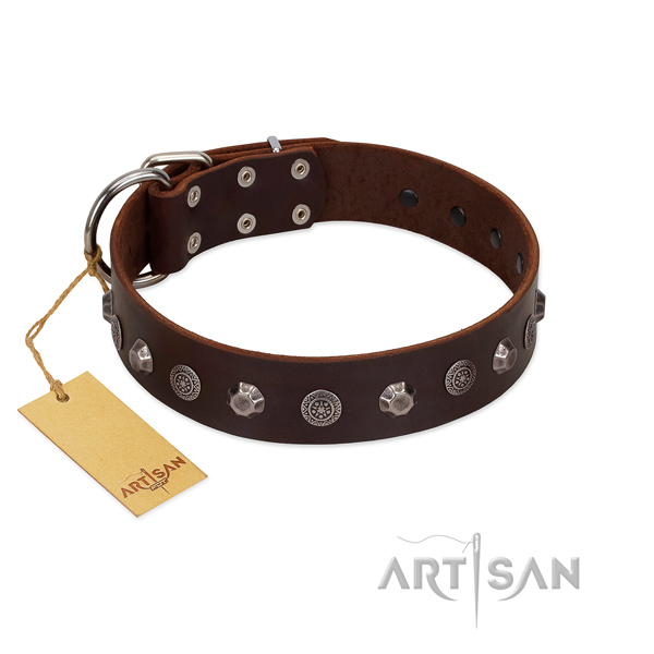 Significant genuine leather dog collar