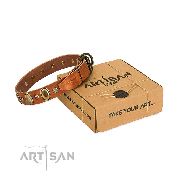 Easy adjustable natural leather dog collar with reliable hardware