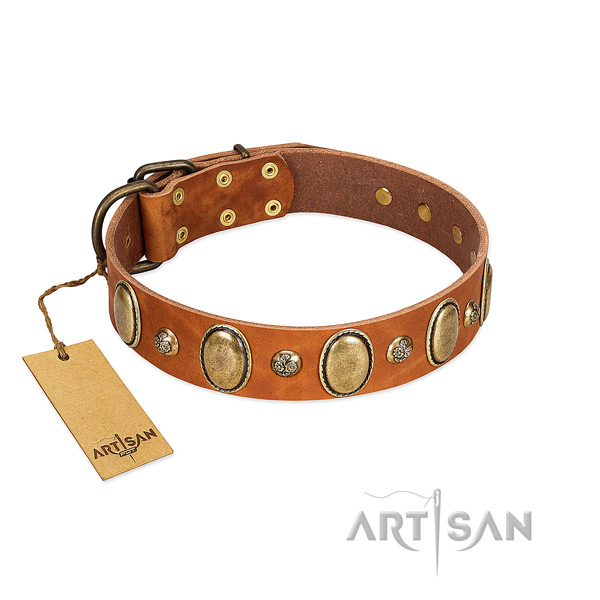 Genuine leather dog collar of reliable material with awesome adornments