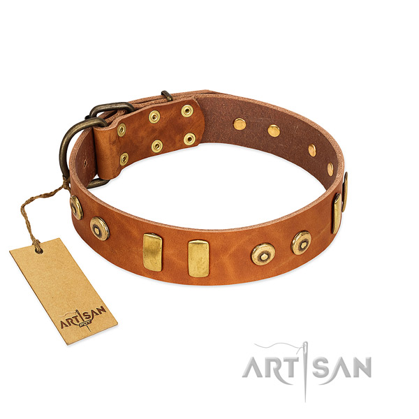 Full grain leather dog collar with amazing decorations for stylish walking