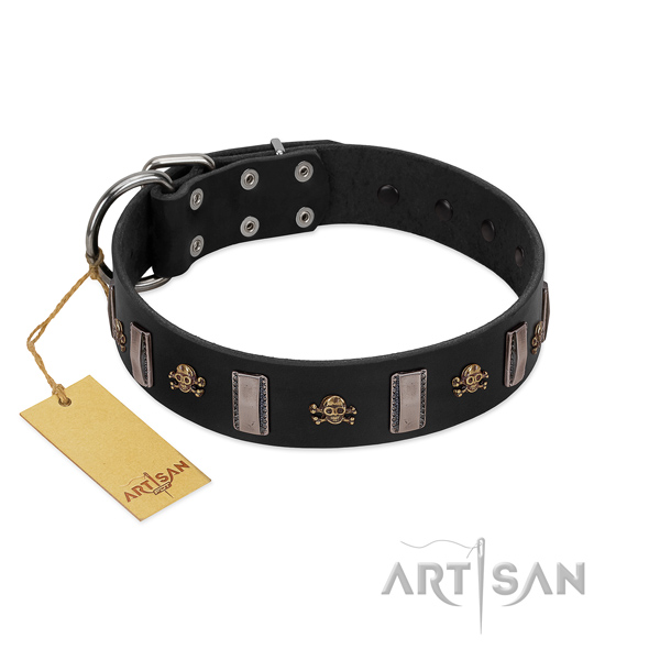 Natural leather dog collar with stylish design decorations for your four-legged friend