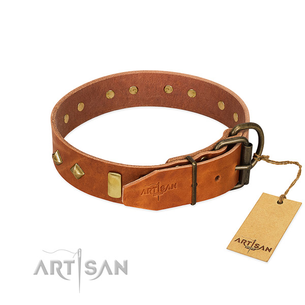 Comfortable wearing full grain natural leather dog collar with significant studs