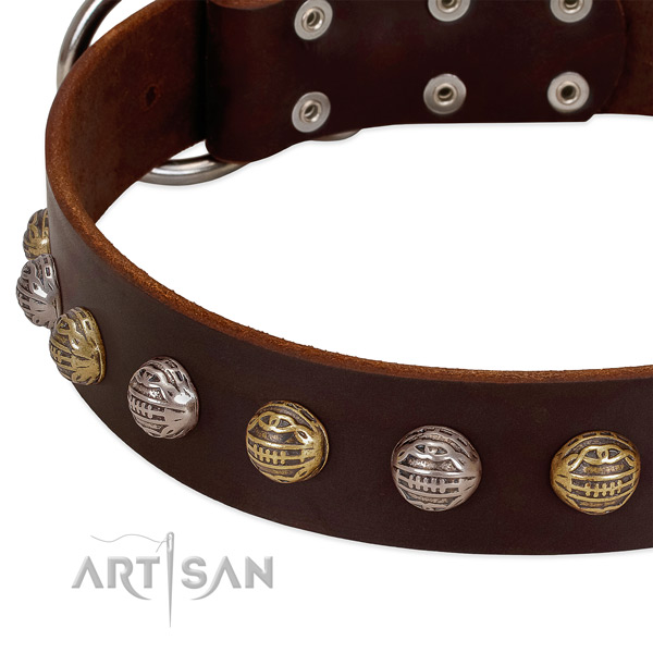 Full grain genuine leather dog collar with reliable buckle and decorations
