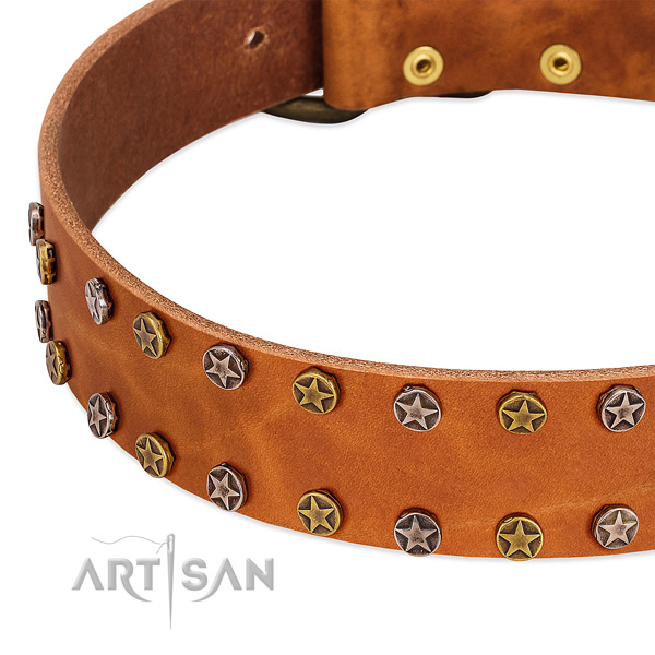 Handy use full grain leather dog collar with exquisite adornments
