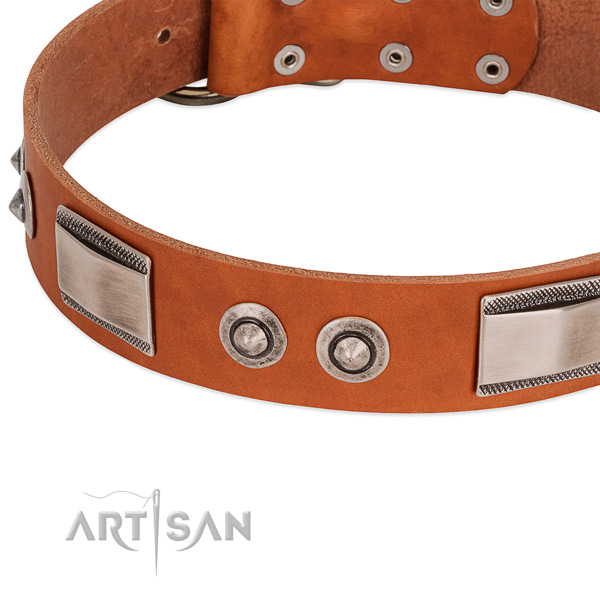 Trendy full grain genuine leather collar with adornments for your dog