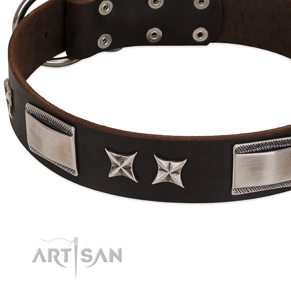 Reliable genuine leather dog collar with reliable D-ring