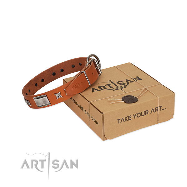 Top rate natural leather dog collar with strong hardware