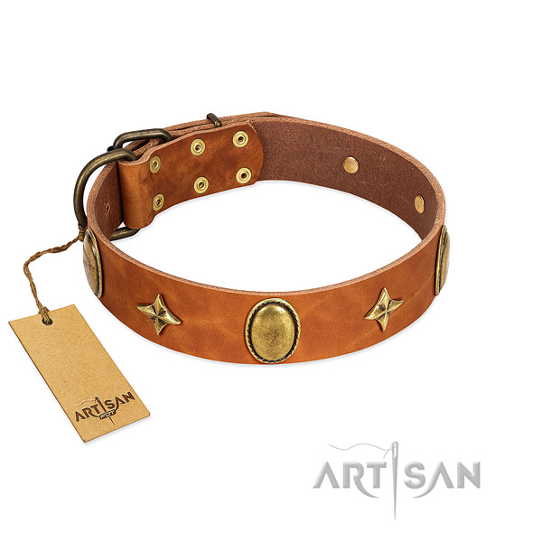 Top rate natural leather dog collar with corrosion resistant embellishments