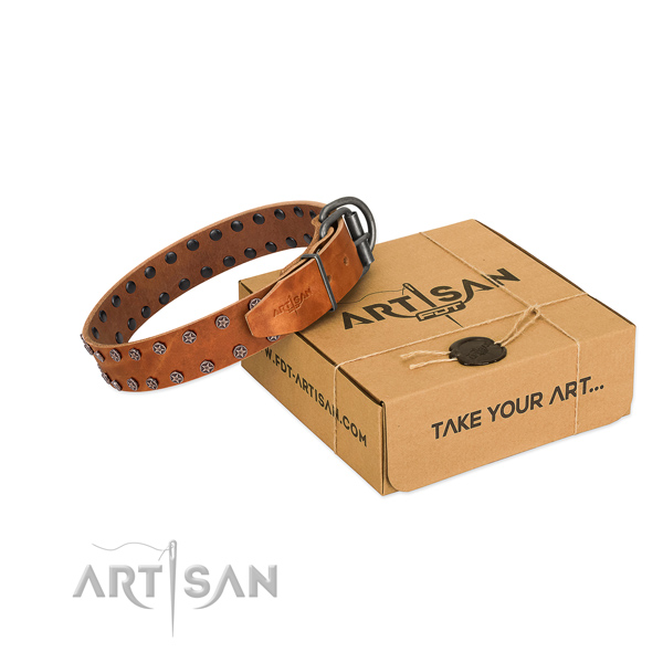 High quality natural leather dog collar with adornments for your stylish dog