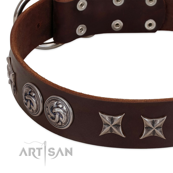 Natural leather collar with unique adornments for your four-legged friend