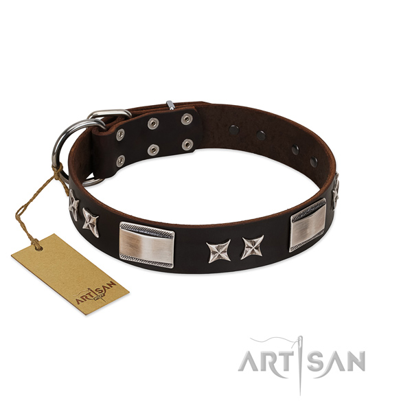 Easy adjustable dog collar of leather