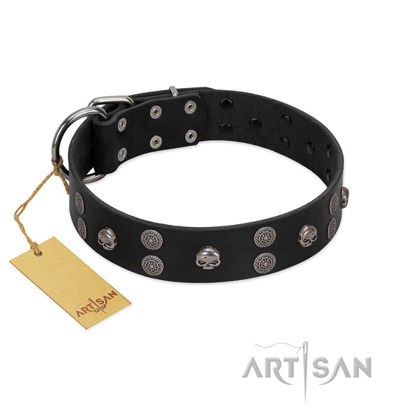 Top notch leather dog collar with studs for easy wearing