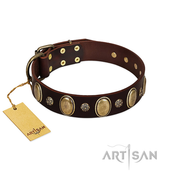Everyday use high quality genuine leather dog collar with studs