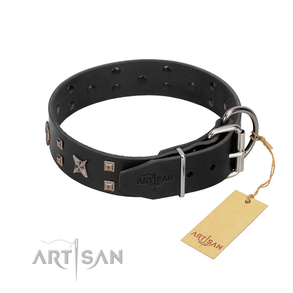 Durable full grain leather dog collar for your stylish four-legged friend