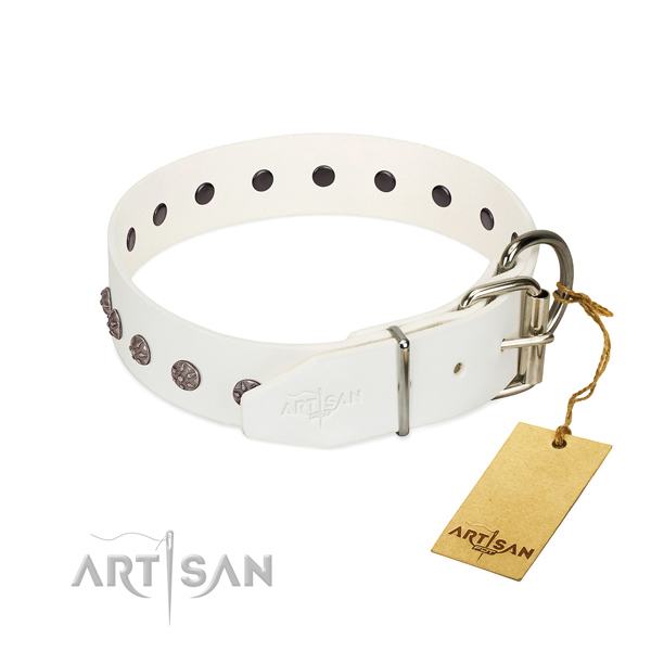 Luxury Dog Collars: How Much Do Designer Dog Collars Cost?