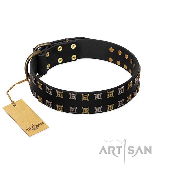 Reliable full grain natural leather dog collar with decorations for your doggie