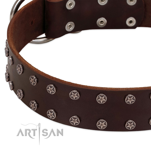 Flexible full grain leather dog collar with adornments for your pet