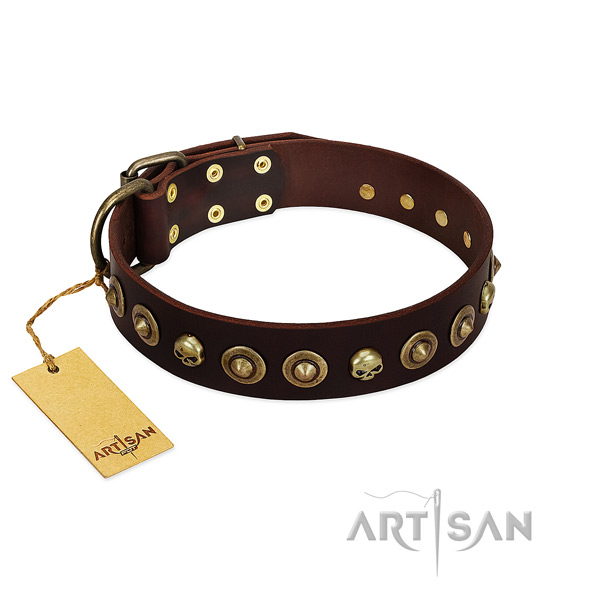 Full grain leather collar with fashionable studs for your doggie