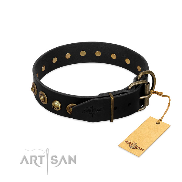 Genuine leather collar with remarkable studs for your four-legged friend