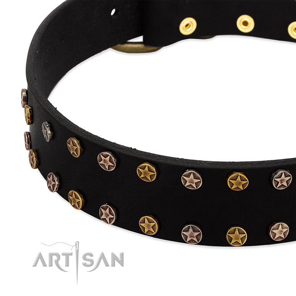 Designer adornments on full grain natural leather collar for your canine