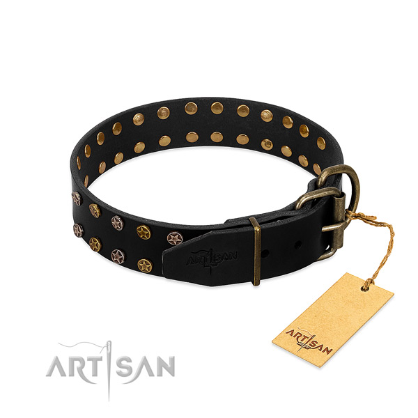 Natural leather collar with unusual studs for your dog