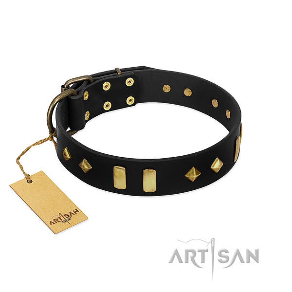 Quality genuine leather dog collar with inimitable embellishments