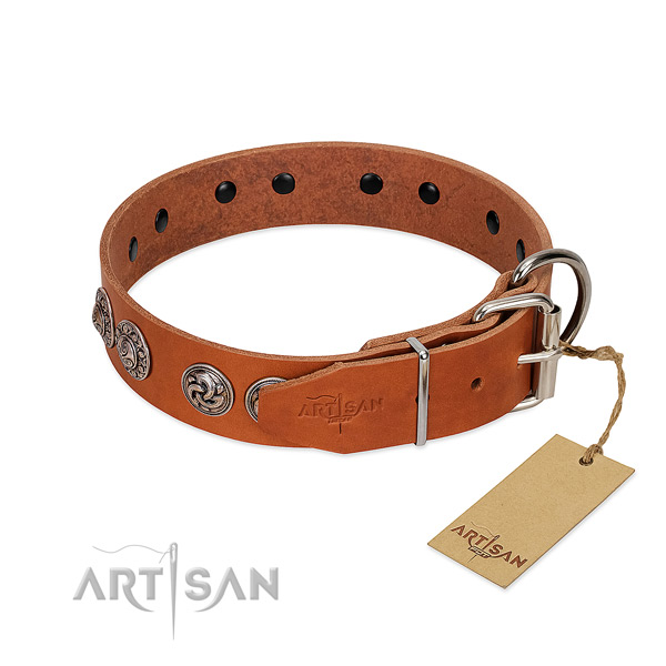 Exceptional natural genuine leather collar for your pet stylish walks