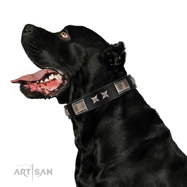 Handy use top notch natural leather dog collar with embellishments
