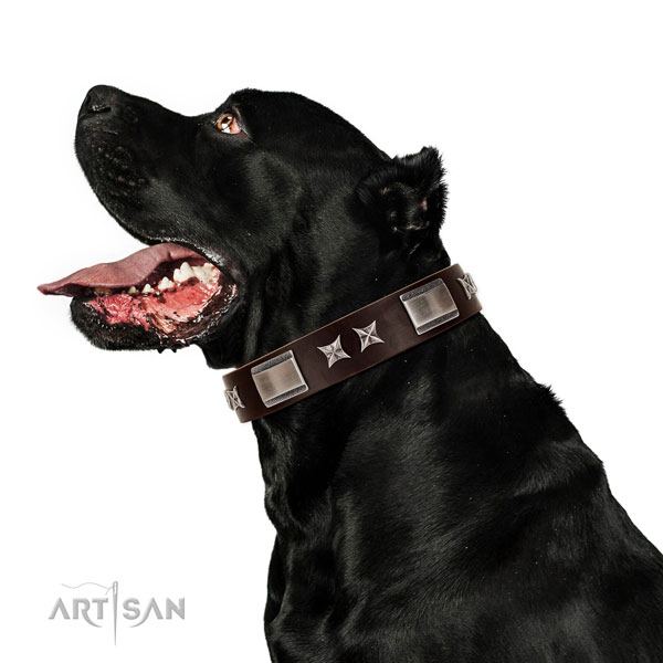Easy adjustable collar of leather for your beautiful four-legged friend