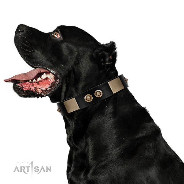 Rust-proof buckle on full grain leather dog collar for easy wearing