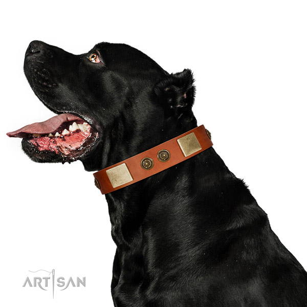 Handmade dog collar crafted for your handsome doggie