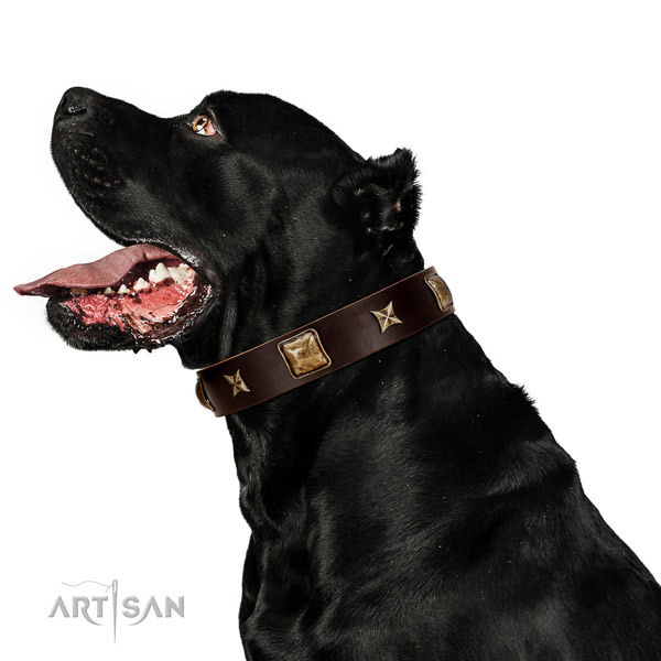 Easy to adjust genuine leather dog collar with embellishments