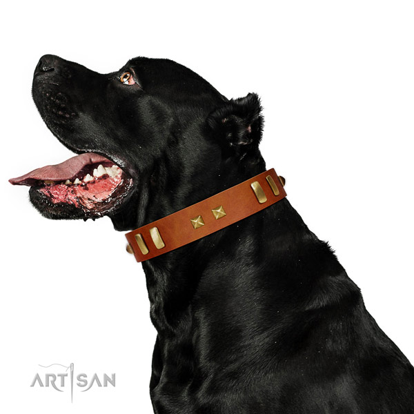 Trendy decorated natural leather dog collar of soft to touch material