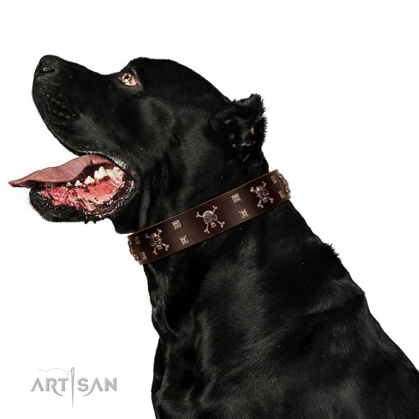 Leather dog collar with strong D-ring for safe dog control