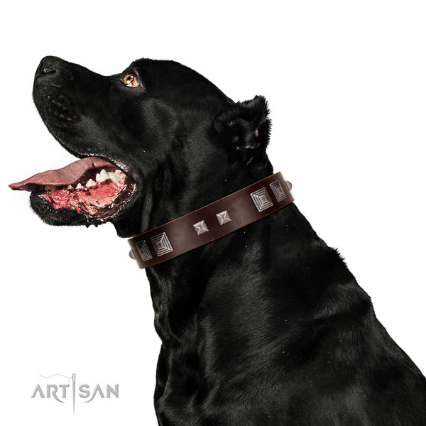 Full grain natural leather dog collar of soft to touch material with designer studs