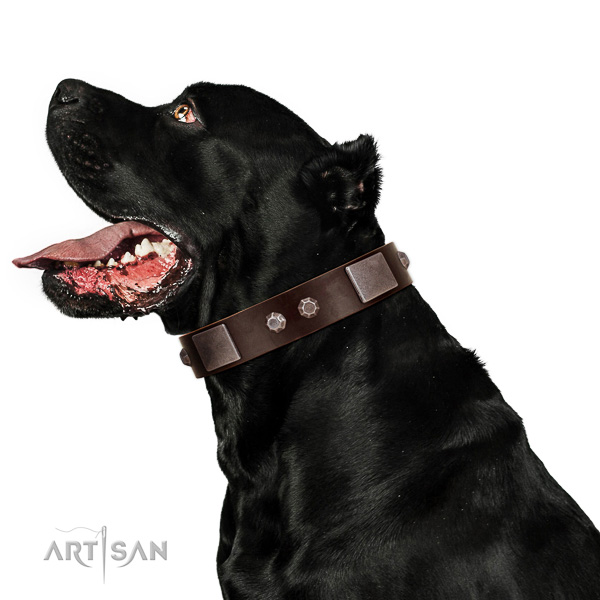 Soft to touch genuine leather dog collar with reliable buckle