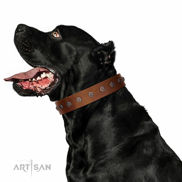 Gentle to touch full grain natural leather dog collar with decorations for your pet