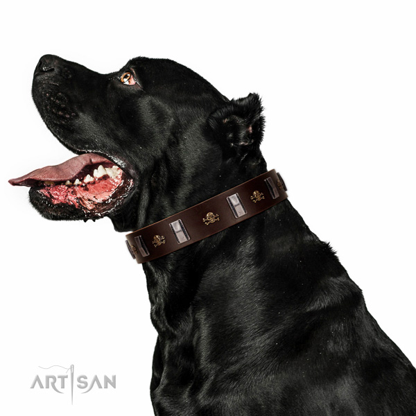 Durable full grain genuine leather dog collar crafted for your dog